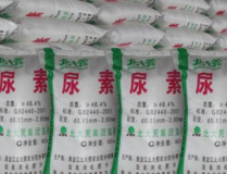 尿素价格行情,市场供需与成本因素影响下的价格走势