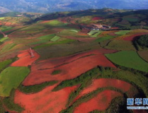 东川红土地旅游,邂逅东川红土地的壮美画卷