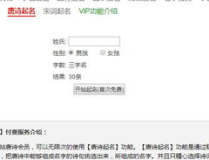 网上起名字,如何利用在线工具打造独特且富有创意的姓名副标题