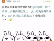 吃瓜娱乐百科大全,揭秘娱乐圈背后的秘密与趣闻