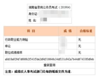 河北省公务员考试成绩查询,轻松掌握成绩动态，助力公职梦想起航
