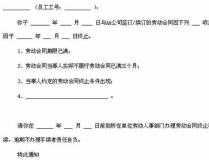 终止劳动合同,法律解析与实务操作指南